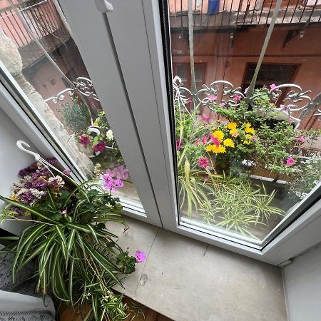 Apartment In The City Center Mini Ivano-Frankivsk Exterior foto